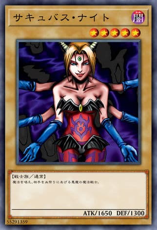 女夜魔骑士